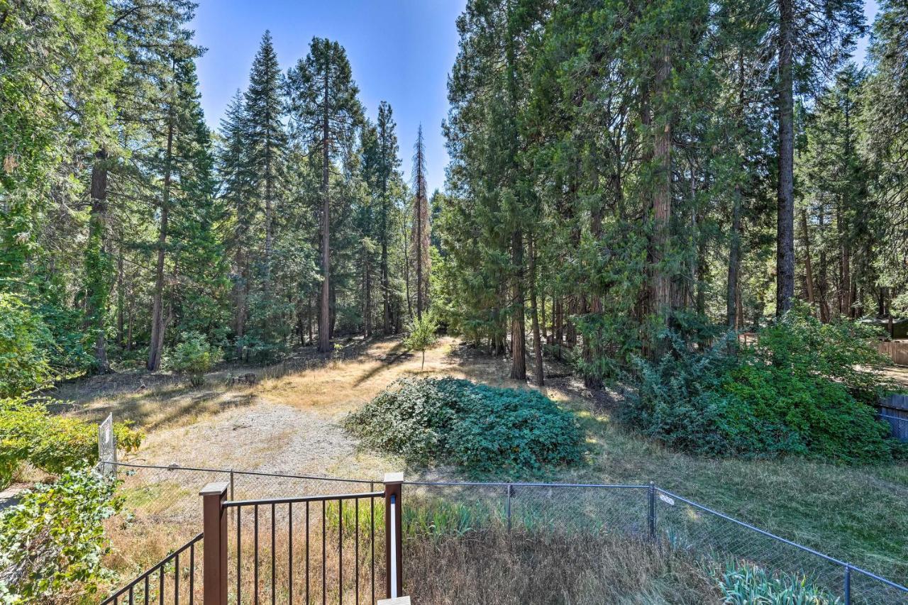 Nevada City Retreat Near Hiking And Yuba River! Zewnętrze zdjęcie